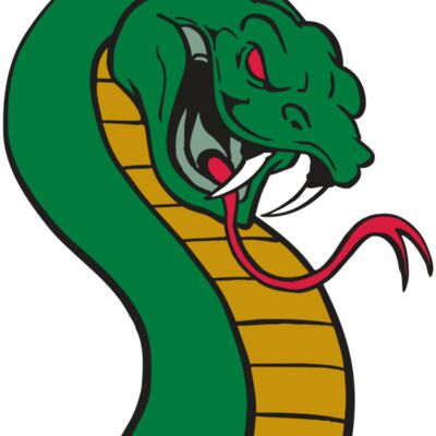 AR SNAKE 12 RC Thumbnail