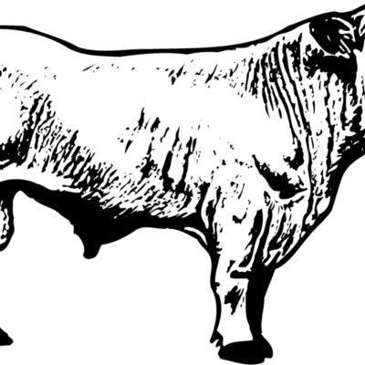 COW023 Thumbnail