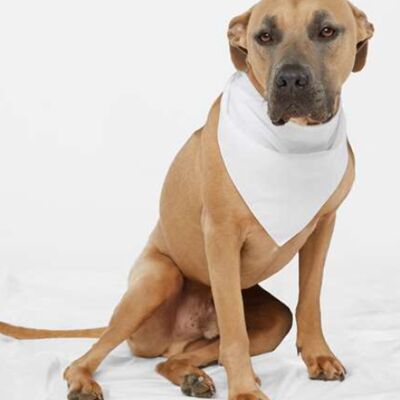 USA-Made Doggie Bandana Thumbnail