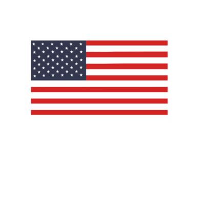 US Flag Thumbnail