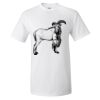 Ultra Cotton T-Shirt Thumbnail