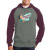 Raglan Colorblock Pullover Hooded Sweatshirt Thumbnail