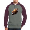 Raglan Colorblock Pullover Hooded Sweatshirt Thumbnail