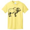 Best Selling Youth Cotton Tee Thumbnail