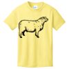 Best Selling Youth Cotton Tee Thumbnail
